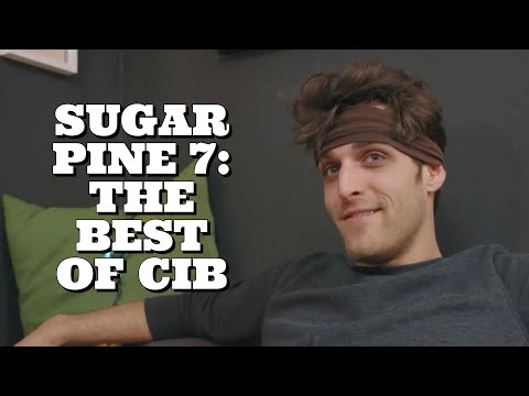The Best of Cib