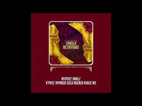 K.Darrow - Blessers Anthem Mansa Musa (Lyric Visualizer)