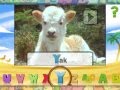 Animal Alphabet With Geoffrey The Giraffe