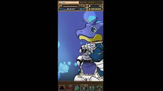 パズドラ Fateコラボガチャ
