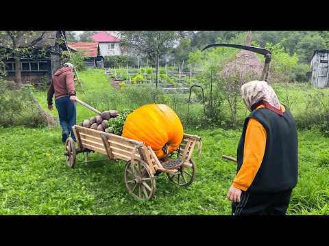 Taste of Mountain Life and 2 more