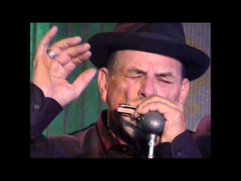 The Hollywood Blue Flames - He's a Blues Man