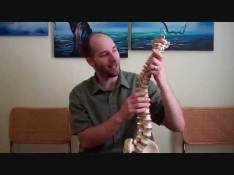 Chiropractic Care for Shot Put Discus Hammer and Javelin