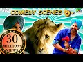 Singh Is Bliing Best Of Comedy Scenes | Akshay Kumar, Amy Jackson, Lara Dutta | HD