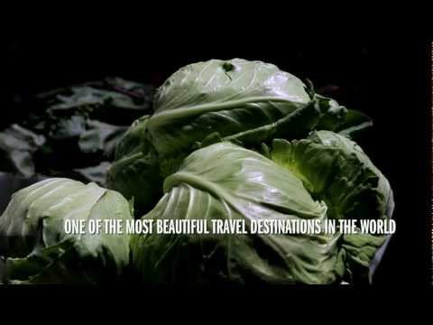 download lagu mp3 mp4 Finger Lakes Farmers Market, download lagu Finger Lakes Farmers Market gratis, unduh video klip Finger Lakes Farmers Market