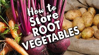 The Best Way to Store Root Vegetables 🥕 🥔