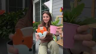 Balcony decor ☺️ / Eva Miller TikTok #evamiller #tiktok #shorts #trending #ytshorts #short