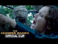 Katniss Drops Hive of Tracker Jackers on Careers | The Hunger Games
