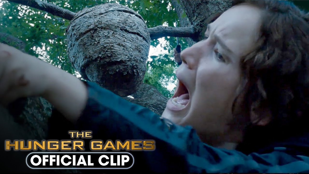 Who sells Katniss the stick?
