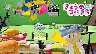 きょうのコバきち  なんの撮影をしてるのかな？