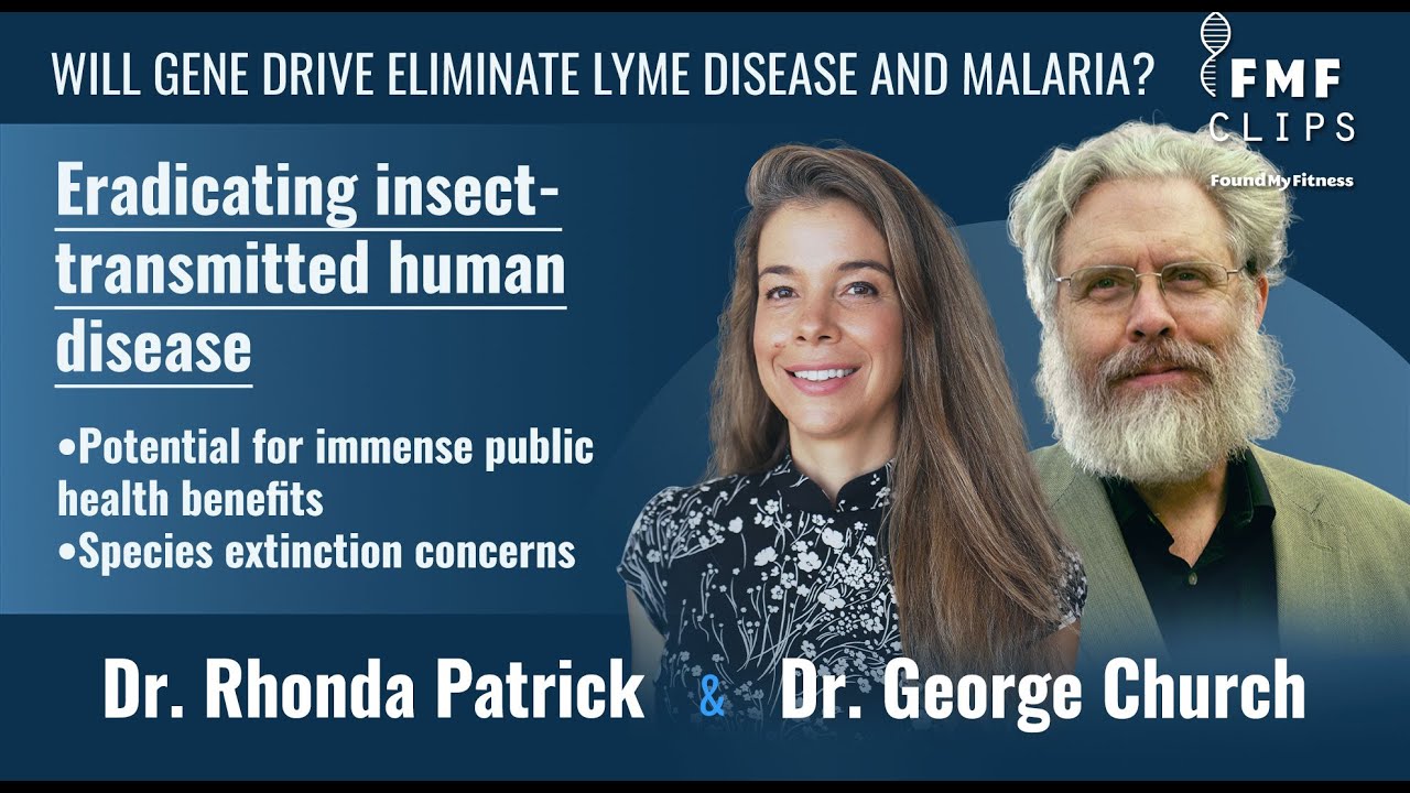 Will gene drive eliminate Lyme disease and malaria? │ Dr. George Church