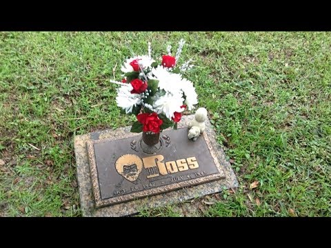 TheDailyWoo - 557 (1/9/14) Respect To Bob Ross