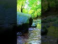 Babbling brook. full 10hours video already on YouTube.  #audiorelax #stream #creek #babblingbrook