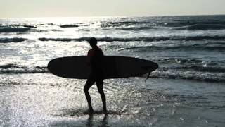 preview picture of video 'L’acqua Viva Hotel Beaches – Nosara, Costa Rica'