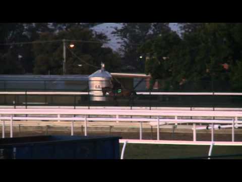 The Age Caulfield Guineas Day preview - Interviews - Glyn Schofield