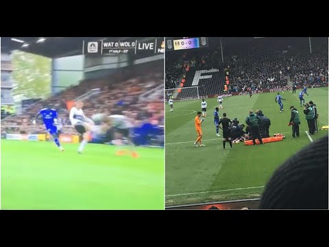 Fulham's Denis Odoi knocked out cold by Maxime Le Marchand v Cardiff City