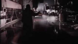 The Crow - Netherbird