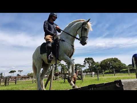 PISTA DE MANEABILIDADE/EXERCÍCIOS DE TRANSPOSIÇÃO DE OBSTÁCULOS