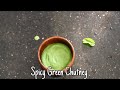 Spicy Green Chutney | Best Chutney for Tandoori/ Grill / Momos