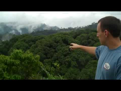 Costa Rican Amphibian Research Center (C.R.A.R.C.) - Brian Kubicki