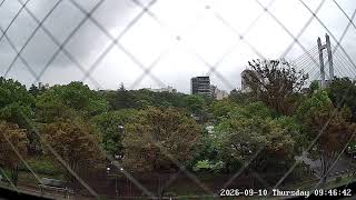 東京都江東区平野ライブカメラ Tokyo Koto Live camera.world.cam live webcam