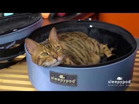 download lagu mp3 mp4 Sleepypod Mobile Pet Bed, download lagu Sleepypod Mobile Pet Bed gratis, unduh video klip Sleepypod Mobile Pet Bed