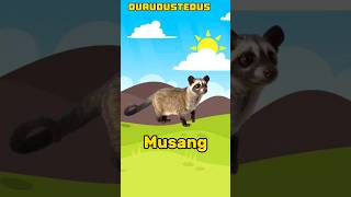 Download lagu HEWAN PEMAKAN BUAH | TUPAI, MUSANG #animals #mengenalhewan mp3
