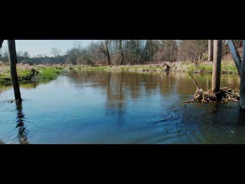 Przygłów - Murowaniec 23 03 2019r