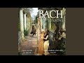 Sonata No. 1 for Violin and Keyboard in B minor, BWV 1014: I. Adagio