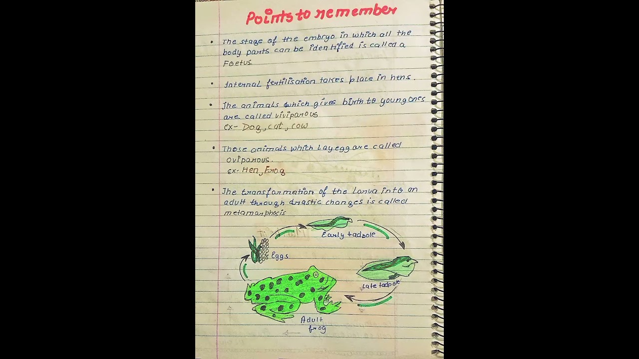 class 8 science chapter 6 Reproduction in animals#notes