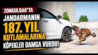 Zonguldakta Jandarmanın 187 Yıl Kutlamalarına Köpekler Damga Vurdu
