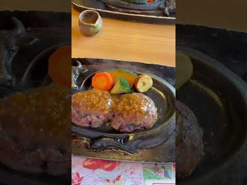 芸術・表現行動学科 浜松の観光名所を巡る #さわやかハンバーグ #どうする家康 #大河ドラマ #竜ヶ岩洞 #スイーツバンク