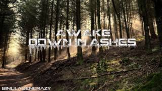 Down In Ashes - Awake