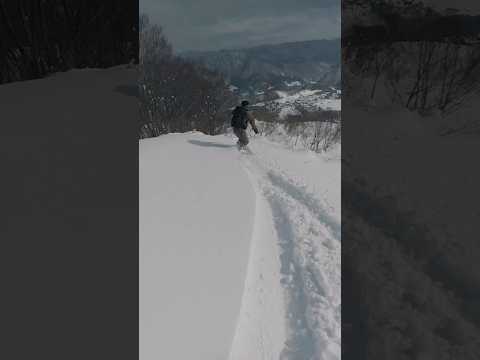 Next Hakuba Snowtrip 2027 #snowboarding #snowboard #snow #winter #skiing #ski #mountains #snowday