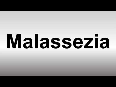 How to Pronounce Malassezia