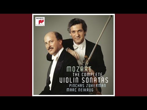 Sonata in B-Flat Major, K. 378: I. Allegro moderato