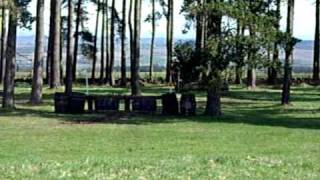 Hector's hunter trial april 2011_cant be moved.wmv