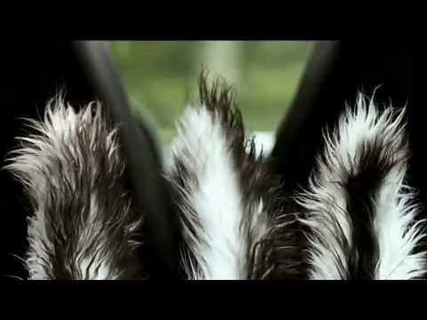 ΤΡΙΧΩΤΗ ΕΠΙΘΕΣΗ (FURRY VENGEANCE) OFFICIAL TRAILER