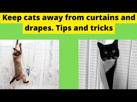 Keep cats away from curtains and drapes. Tips and tricks