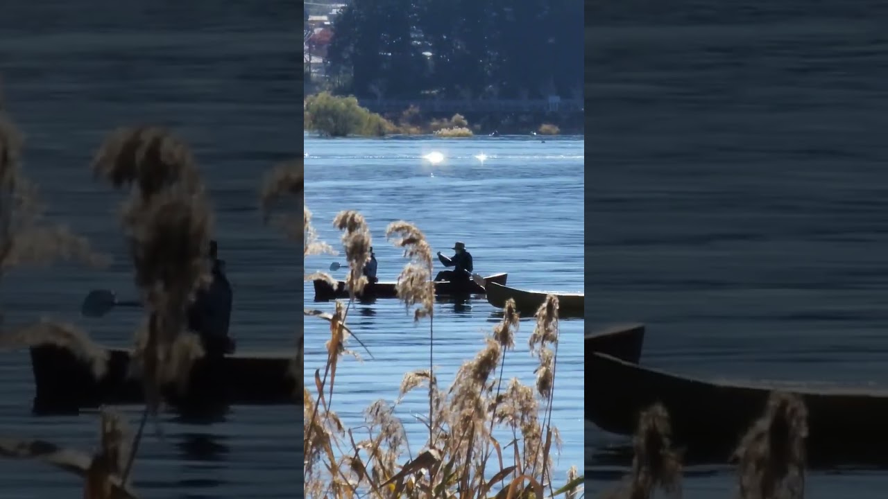 YouTube Short thumbnail