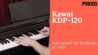 Kawai KDP-120 - Digitalpiano für Einsteiger im Test