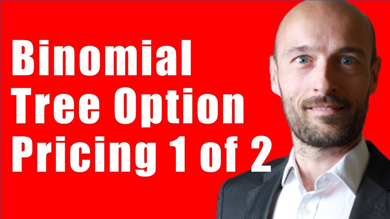 How to Price Options using a Binomial Tree (The Portfolio Approach)