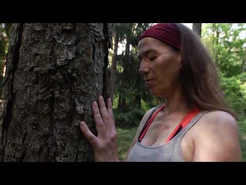 atmen mit bäumen   #3 fest verwurzelt in der erde