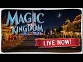 LIVE Magic Kingdom Walk In The Park Walt Disney World Live Stream
