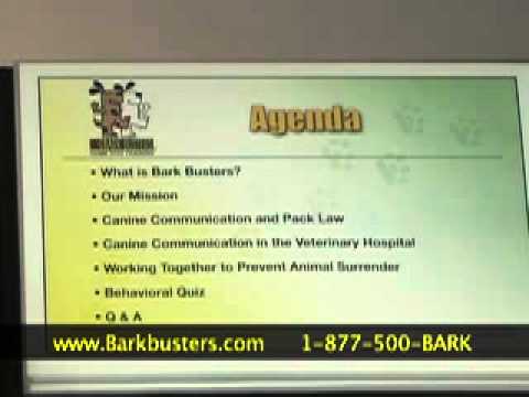 Bark Busters, Naples and Marco Island video.