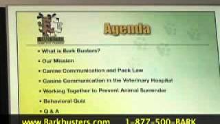 Colin Glass - Bark Busters Home Dog Training Southwest Florida