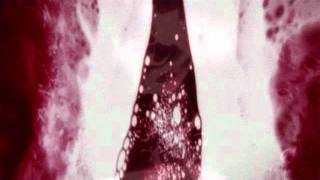 Agoraphobic Nosebleed - Definition of Death