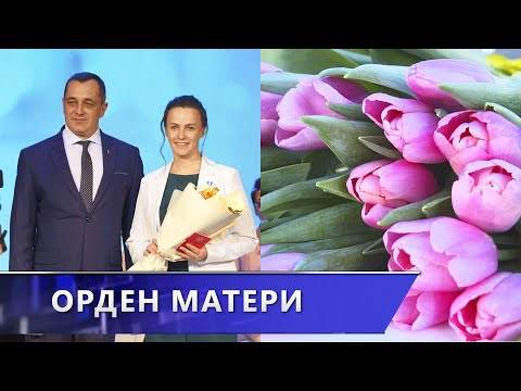 Александр Субботин вручил многодетным женщинам области ордена Матери