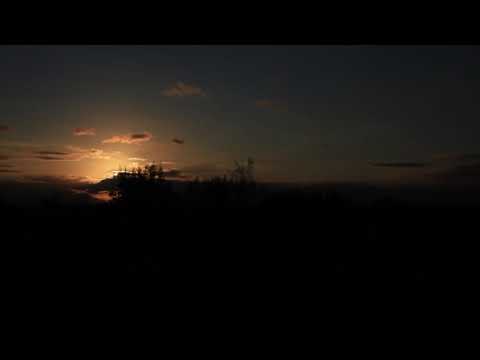 Parallel1 - A Place in Quarantine