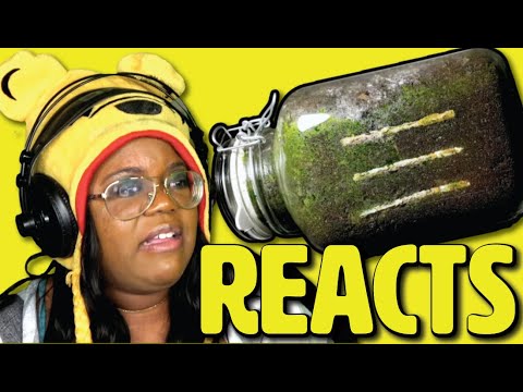 CIGARETTE IN SOIL 1 YEAR Time Lapse by Photo Owl Time Lapse | AyChristene Reacts